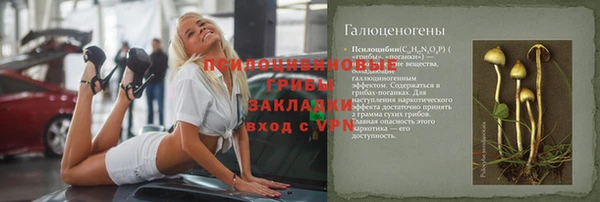 МДПВ Абаза